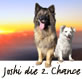Joshi die 2.Chance